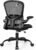 FelixKing Office Desk Chairs, Ergonomic PC Desk Chair with Wheels, Adjustable Lumbar Support and Height, Swivel Computer Chair with Flip-up Armrests, Ergo Mesh Backrest for Working (Black)